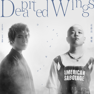 日本熟妇毛茸茸丰满
